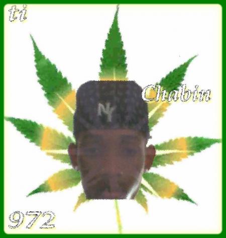 my ti chabin