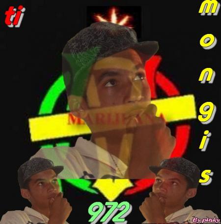 my ti mongis